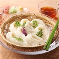 金印 白石温麺 〔(100g×4束)×4袋〕 うーめん 麺