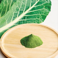 ベルデン ケールパウダー 3箱 セット 〔(2g×7)×3〕 野菜パウダー ケール