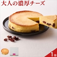 ホシフルーツ 大人のチーズケーキ 〔直径約12cm×1個〕チーズケーキ
