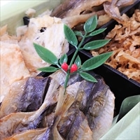 特選 珍味 4種 詰合せ うらしま 2箱 〔(焼あなご110g・焼小あじ100g・ちぎりえい90g・焼帆立貝ひも60g)×2〕 乾物 愛媛 龍宮堂