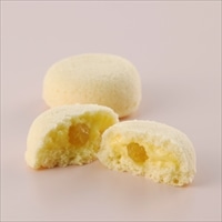 ラグノオ カスタードケーキ いのち りんご 〔55g×10〕 ケーキ 洋菓子 東京 ラグノオささき