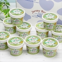 十勝ジャージーフローズンヨーグルト 10個 セット 〔100ml×10〕 アイスクリーム 北海道 十勝ミルキー 味想百盛【沖縄・離島 お届け不可】