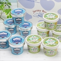 十勝ジャージフローズンヨーグルト アイスクリーム 詰め合わせ 〔2種各100ml×各5〕 北海道 十勝ミルキー 味想百盛【沖縄・離島 お届け不可】