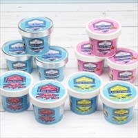 十勝ジャージーアイスクリーム 10個 セット 〔ミルキー ほか全4種各100ml×計10〕 北海道 十勝ミルキー 味想百盛【沖縄・離島 お届け不可】