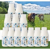 十勝搾りたてジャージ牛乳 12本 セット 〔200ml×12〕 牛乳 北海道 十勝ミルキー 味想百盛【沖縄・離島 お届け不可】