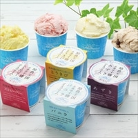 十勝ホルスタイン生乳アイスクリーム10個セット 〔バニラ ほか全4種各100ml×計10〕 北海道 十勝ミルキー 味想百盛 【沖縄・離島 お届け不可】