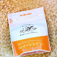 エゾリスチーズ フロマージュブラン 6個 〔300g×6〕 チーズ 北海道 広内エゾリスの谷チーズ社