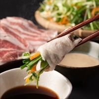 薩摩 薬膳八宝鍋 セット 〔神話豚バラ肉・肩ロース各200g、8種類の旬の野菜950g、大根おろし用大根100g、出汁、薬味類〕 鍋セット