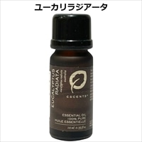 精油 ユーカリラジアータ 〔10ml〕 アロマグッズ ESCENTS エッセンス