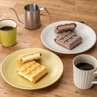 モナカアイス ダンディー チョコレート バニラ 〔ダンディーチョコレート・ダンディーバニラ 各160ml×5〕 アイス