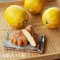 もみじ饅頭 もみじの出逢い 6箱 〔8個×6〕 まんじゅう 和菓子