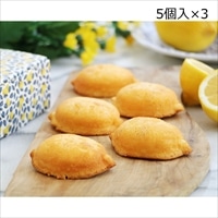 宮崎れもんケーキ レモッタ BOX5個入3箱 〔5個×3〕 ケーキ 洋菓子【北海道・沖縄・離島 お届け不可】