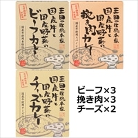 三田屋カレー詰合せ50 3種8個 詰合せ 〔ビーフカレー180g×3・挽き肉カレー180g×3・チーズカレー180g×2〕 国産牛 レトルトカレー