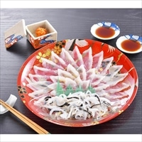 ふくたたき刺身セット 約2人前 〔真ふぐたたき刺身(22cm皿)55g、とらふぐ皮20g、ふくポン酢10g×2、もみじおろし10g×2〕ふぐ刺し 関とら本店 藤フーズ