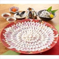 とらふく刺身 絵皿盛り 約5人前 〔とらふぐ刺身160g、とらふぐ皮60g、ふくぽん酢180ml、もみじおろし10g×4、とらふぐひれ×5〕 関とら本店 藤フーズ