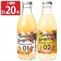 土佐山ジンジャーエール 01＆02 各10本セット 〔土佐山ジンジャーエール01プレミアム(辛口)・02マイルド(甘口) 各200ml×各10〕 ジンジャーエール