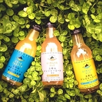 土佐山ドリンクアソート 3本セット 〔土佐山ジンジャエール辛口M・土佐山ジンジャエールマイルドM・土佐山ゆずスカッシュM〕 ジンジャエール