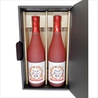 ブラッドオレンジ梅酒 2本セット 〔720ml×2〕 梅酒 お酒 名門サカイ