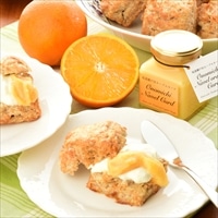 尾道瀬戸田 ネーブルカード 3個 〔100g×3〕 フルーツカード ジャム