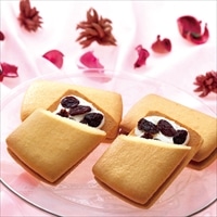 銀座千疋屋 銀座レーズンサンド 〔15個〕 レーズンサンド 洋菓子【沖縄・離島 お届け不可】