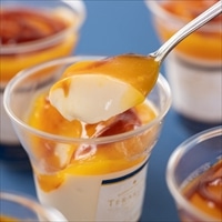 東京 小金井 TERAKOYA監修 濃厚マンゴープリン 〔6個〕 プリン 洋菓子【離島 お届け不可】