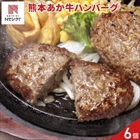 熊本 くまもとあか牛 生ハンバーグ 〔(150g×3)×2〕ハンバーグ 冷凍［北海道・沖縄県・離島 配送不可］