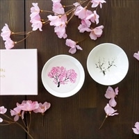 冷感桜 平盃ペアセット 〔(直径90mm×高さ34mm)×2〕 食器