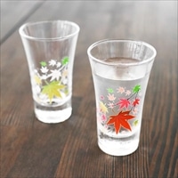 冷感紅葉グラス天開ペアセット 〔(直径約60mm×高さ98mm)×2〕 食器