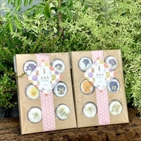 美食花クッキー 〔6枚入×2〕 洋菓子 【沖縄・離島 お届け不可】