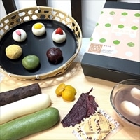 親子で作る！和菓子手作りキット 〔草もち生地・しろもち生地、あんこ、栗甘露煮、きなこ、赤紫蘇の塩漬け、ミズキリ、完成品サンプル、説明書〕