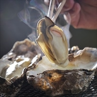 かなわ 冷凍殻付かき15個 レンジ袋入 〔5個入×3〕 生牡蠣