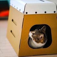 ダンボール 猫ハウス 爪とぎ付き とびばこ とんで ミルにゃん！ 〔底面幅30.5cm×奥行51cm×高さ36cm×天面幅21cm〕 ペットグッズ