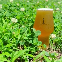 ONE’s IPK 〔330ml×8〕 発泡酒【沖縄県・離島 配送不可】