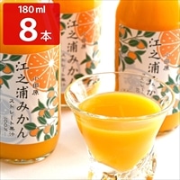 江之浦みかん 100％ストレート果汁 〔180ml×8〕 ジュース【沖縄県・離島 配送不可】