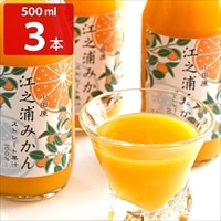 江之浦みかん 100％ストレート果汁 ギフトセット 〔500ml×3〕 ジュース【沖縄県・離島 配送不可】