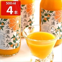 江之浦みかん 100％ストレート果汁 〔500ml×4〕 ジュース【沖縄県・離島 配送不可】