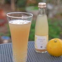 はるのてらす ジンジャーエール 小夏 〔195ml×12〕 炭酸飲料