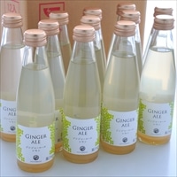 はるのてらす ジンジャーエール レモン 〔195ml×12〕 炭酸飲料
