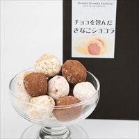 ワタトー トーキョーキナコロン ギフト 〔チョコダマ約10g×20・ココアダマ約10g×20・キャラメルダマ約8g×20〕 菓子