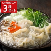 巣鴨餃子 清緑園 水餃子 しそ水餃子 海老餃子 〔(水餃子約28g×12個)×2・しそ水餃子約28g×12個・海老餃子約36g×8個〕 餃子