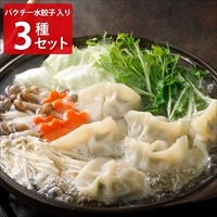 巣鴨餃子 清緑園 水餃子 パクチー水餃子 海老餃子 〔(水餃子×12個)×2・パクチー水餃子×12個・海老餃子約36g×8個〕 餃子