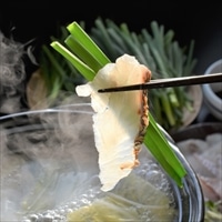 福津いいざい 玄界灘産 天然真鯛 しゃぶしゃぶ ギフト〔真鯛切身150g×3、だしパック8g×2〕鯛しゃぶセット