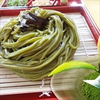 伊勢の精 鈴鹿抹茶めん 半生 〔鈴鹿抹茶めん180g(約2人前)×4、めんつゆ25g×8〕 半生麺