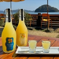 瀬戸内の生レモンチェッロ 瀬戸内のゆずチェッロ生 〔瀬戸内の生レモンチェッロ500ml、瀬戸内のゆずチェッロ生500ml〕 リキュール