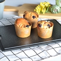 クールダウンプレート 〔サイズ：約30.0×20.0×高さ0.8cm、重量：約1kg〕 台所用品 粗熱取り 解凍【沖縄県・離島 配送不可】