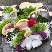刺身 詰め合わせ 瞬冷コクまろ卸し 鹿児島県 長島産 〔天然タイ、養殖タイ、タコ、アオリイカ、太刀魚(または養殖カンパチ)〕 刺し身 冷凍