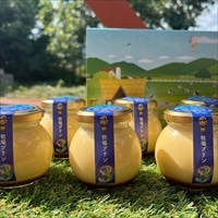 佐賀 牧場プリン3 〔100g×6〕 プリン スイーツ【北海道・沖縄県・離島 配送不可】