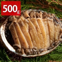 三陸産 冷凍 天然エゾアワビ 〔500g(4~5個)〕 鮑 生食用