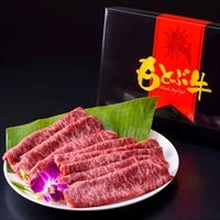 もとぶ牛 ロース肉 スライス ギフト 〔500g〕 牛肉 冷凍