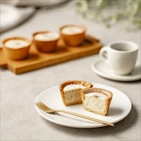 夙川 バニラ チーズタルト 〔55g×5個〕 スイーツ 冷凍 個包装